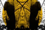 Austra Feel it break lp