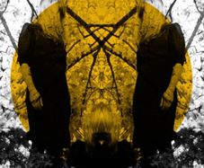 Austra Feel it break lp