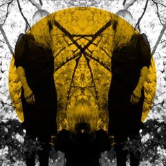 Austra Feel it break lp