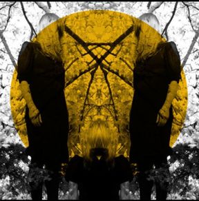 Austra Feel it break lp