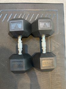 27.5kg Dumbbells