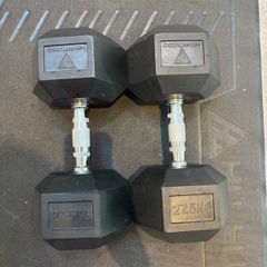 27.5kg Dumbbells
