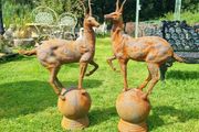 Stags Pair Cast Iron  D1920