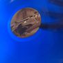 Trouble - Revelations (Life Or Death) (Demos & Rarities Part 1) Image 5