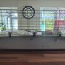 Rabbit / Guinea Pig Cage Image 2