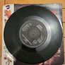 Lenny Kravitz I Build This Garden For Us 7 inch single Image 2