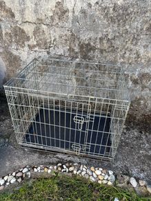 animal crate