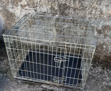 animal crate
