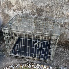 animal crate