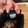 Adidas trainers Image 3