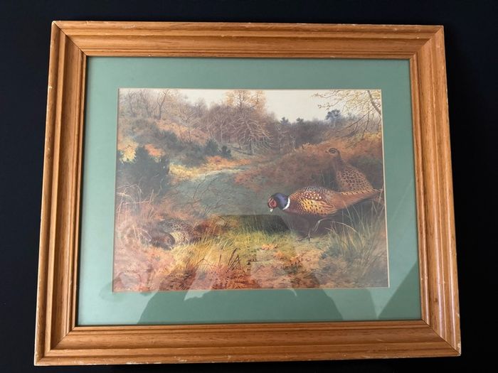 Framed Art Print - Pheasants in Autumn Woodland after Archibald Thorburn