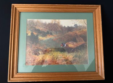 Framed Art Print - Pheasants in Autumn Woodland after Archibald Thorburn