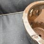 pot Image 3