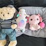 Plush teddies Image 3