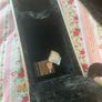 Hard Case Image 2