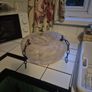 Rare open base Original Art Deco light pink hue 1930s glass ceiling shade Image 6