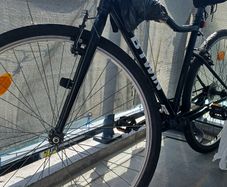 Big bike hit wonder