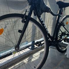 Big bike hit wonder