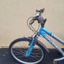 ladies Bicycle Image 2