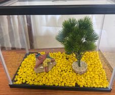 Fish tank