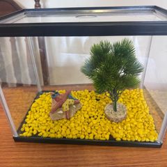 Fish tank