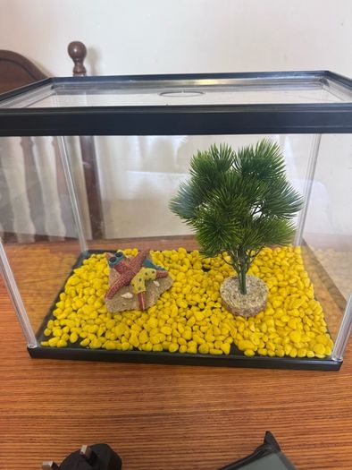 Fish tank