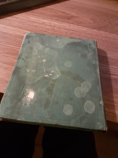 1898  dublin castle  book