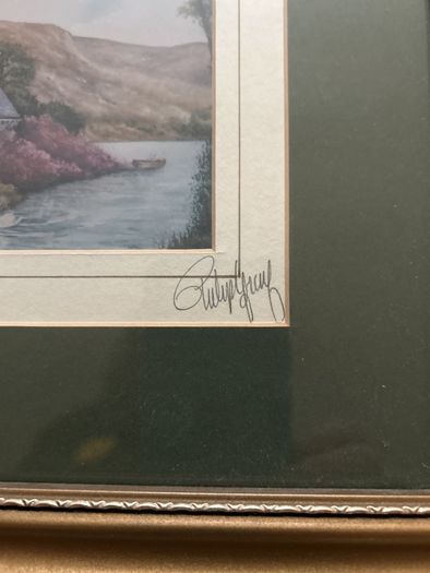 Phillip Gray framed original print of the Gougan Barra Co. Cork