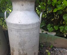 Aluminum milk churn