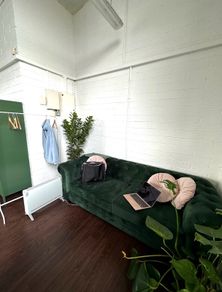 Green Velvet Couch