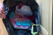 Zhu Zhu Pets Collection