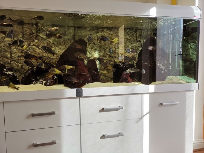 Aquarium, Fish tank, 720L Diversa