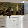 Aquarium, Fish tank, 720L Diversa Image 5