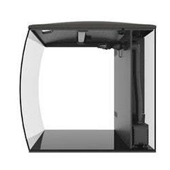 Cold water fish tank