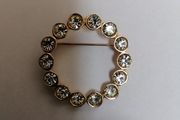Broach Cubic Zarconia Circle
