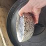 random Image 2