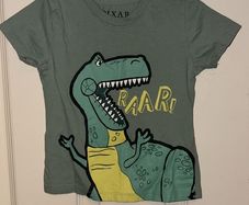 Toy Story Rex Tshirt 18-24 months