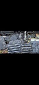 Citreon Berlingo / Peugeot Partner Bulkhead 09-17 @ OCG