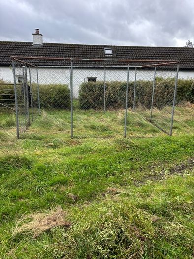 dog run