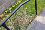 Power coated outside support handrails