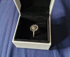 2 Box's / 2 Sets Of Pandora Rings