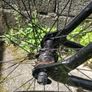 bycicle Image 2