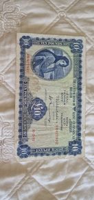 Irish Notes
