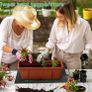 Seedling Heat Mat, Waterproof Greenhouse Heating Pad 10" x 20.75" Germination Heated Propagator Warming Mat for Terrarium Reptile Amphibian (FREE POSTAGE) Image 4