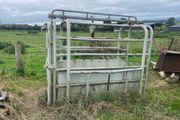 Livestock weighing scales