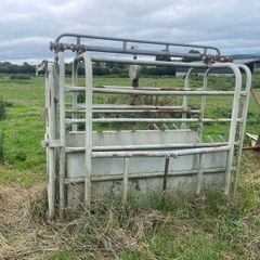 Livestock weighing scales