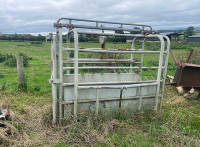 Livestock weighing scales