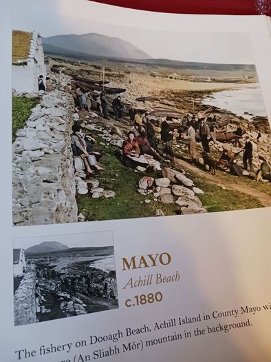 The Colour of Ireland: County by County 1860- 1960 / Rob Cross/ 2021