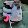 Winnie the Pooh Eeyore Image 5