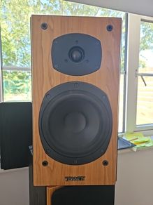 Tannoy mercury m2 speakers